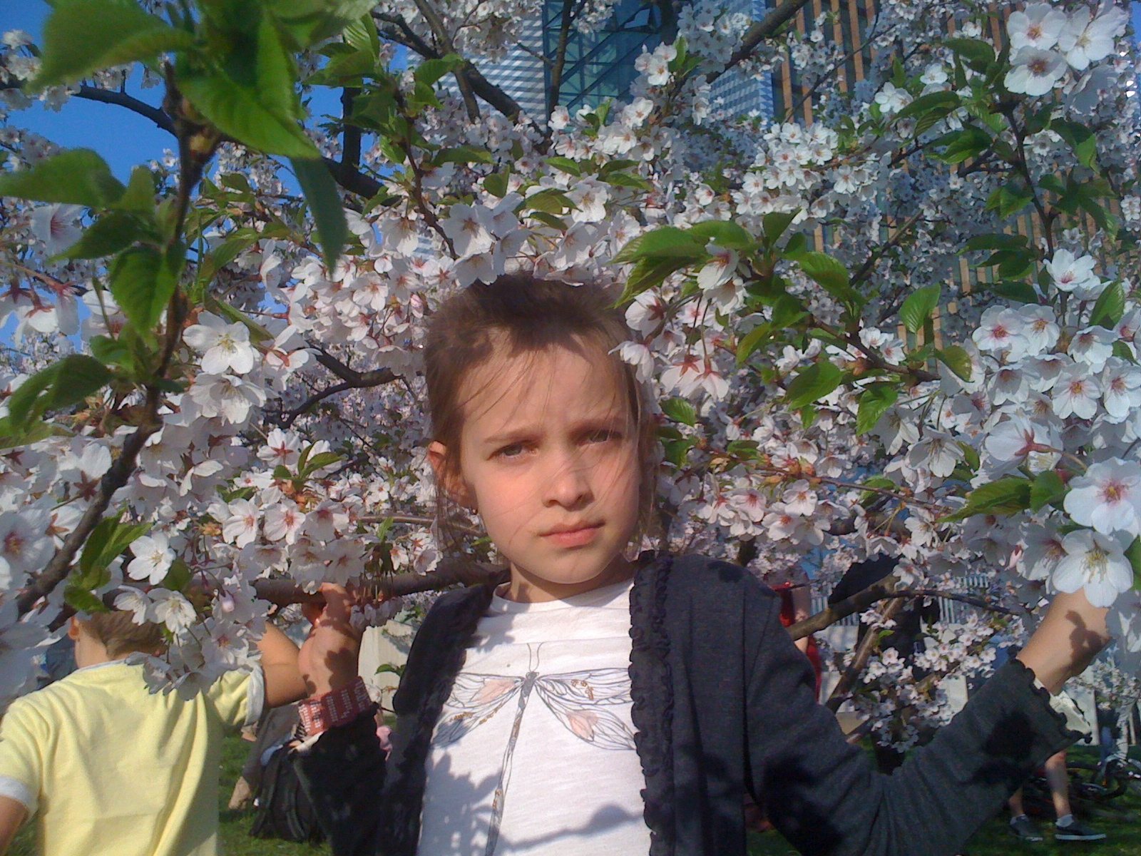 Mergaitė po žydinčia sakura